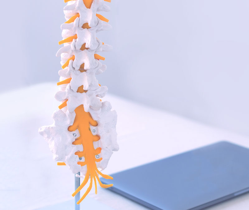 sjukgymnast värnamo